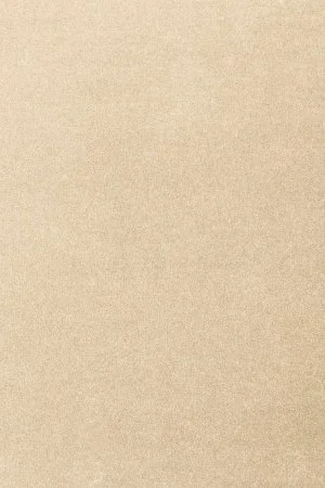 Ковровое покрытие AW Oinone 34 - (4м) в Самаре