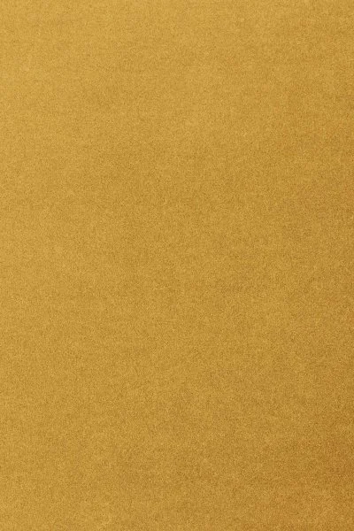 Ковровое покрытие AW Oinone 54 - (5м) в Самаре