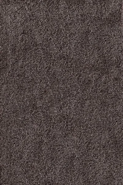 Ковровое покрытие AW Messalina 44 - (4м) в Самаре