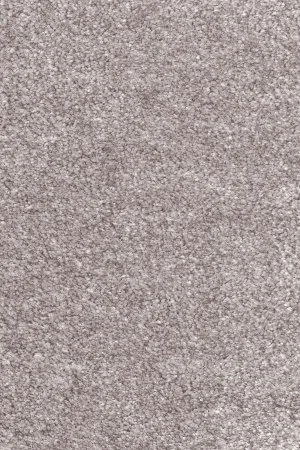 Ковровое покрытие AW Euphoria 16 - (5м) в Самаре