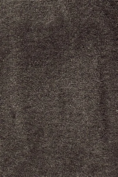 Ковровое покрытие AW Fedone 44 - (5м) в Самаре