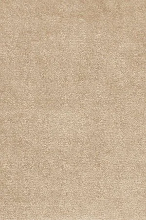 Ковровое покрытие AW Omphale 37 - (5м) в Самаре