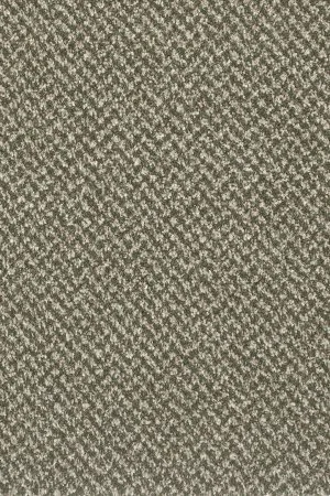Ковровое покрытие AW Stainaway Tweed 24 - (4м) в Самаре