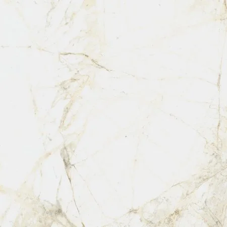 Керамогранит Coliseum Канова Уайт 60х60 (Натуральный и Реттифицированный) в Самаре