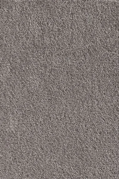 Ковровое покрытие AW Messalina 49 - (5м) в Самаре