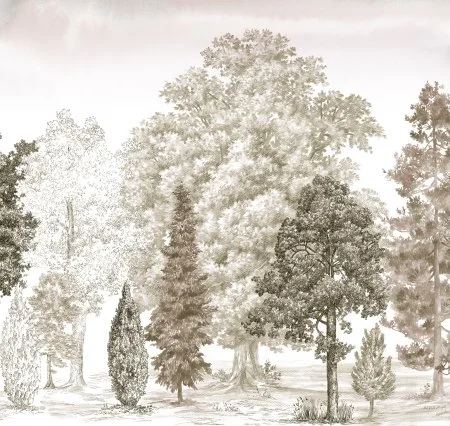 Обои Loymina Пейзаж vol. 2 ART14 012 в Самаре