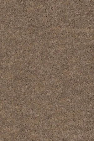 Ковровое покрытие AW Euphoria 36 - (4м) в Самаре