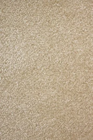 Ковровое покрытие AW Euphoria 33 - (4м) в Самаре