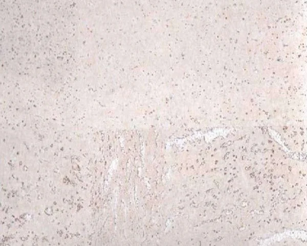 Настенное пробковое покрытие CorkArt PW 386 WS в Самаре