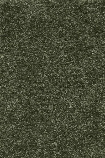 Ковровое покрытие AW Certosa 24 - (4м) в Самаре