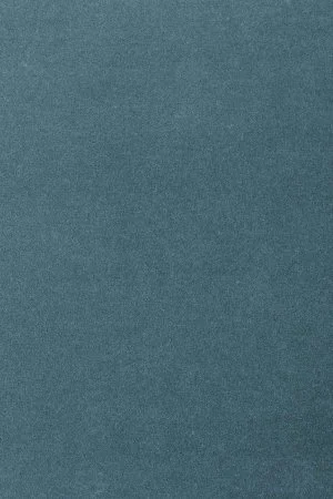 Ковровое покрытие AW Oinone 74 - (4м) в Самаре