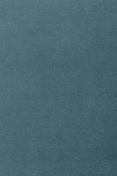 Ковровое покрытие AW Oinone 74 - (5м) в Самаре