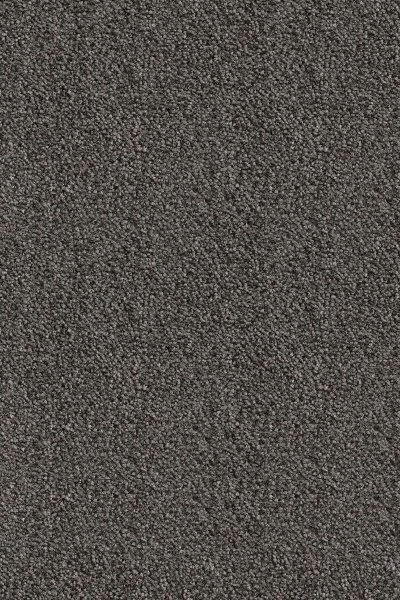 Ковровое покрытие AW Messalina 99 - (5м) в Самаре