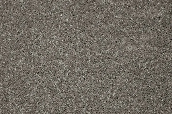 Ковровое покрытие AW Gala 94 - (5м) в Самаре