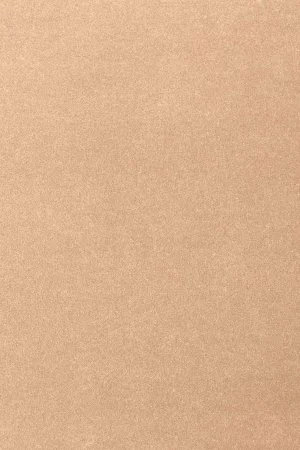 Ковровое покрытие AW Oinone 08 - (4м) в Самаре