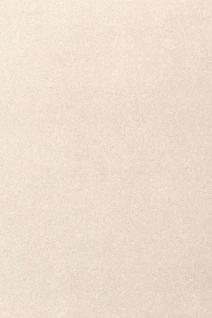 Ковровое покрытие AW Oinone 03 - (5м) в Самаре