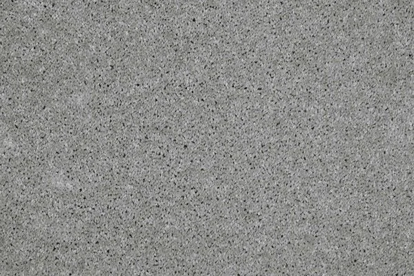 Ковровое покрытие AW Gala 90 - (4м) в Самаре