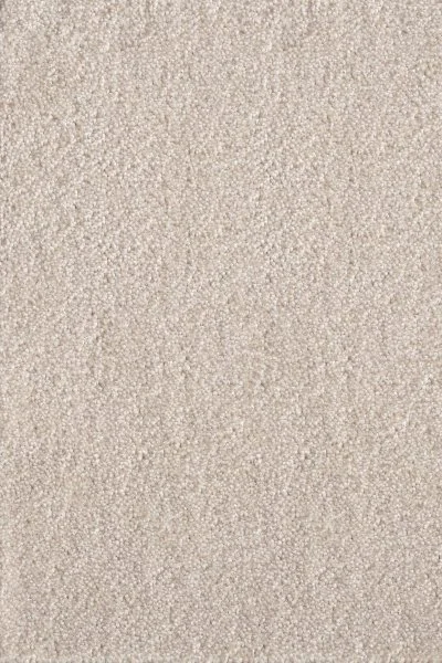 Ковровое покрытие AW Messalina 34 - (5м) в Самаре