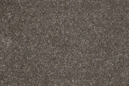 Ковровое покрытие AW Gala 49 - (5м) в Самаре