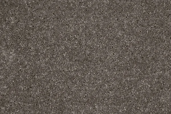 Ковровое покрытие AW Gala 49 - (4м) в Самаре