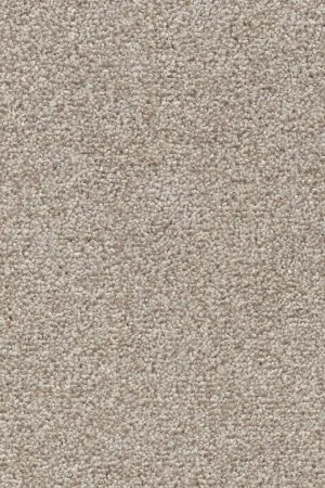 Ковровое покрытие AW Stainguard Harvest 04 - (4м) в Самаре