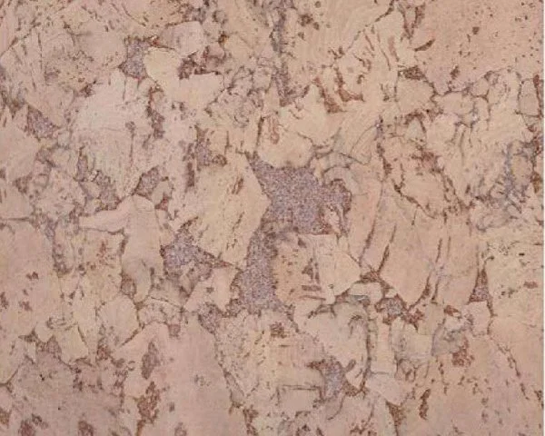 Настенное пробковое покрытие CorkArt PW 324 NK в Самаре