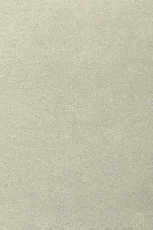 Ковровое покрытие AW Oinone 02 - (5м) в Самаре