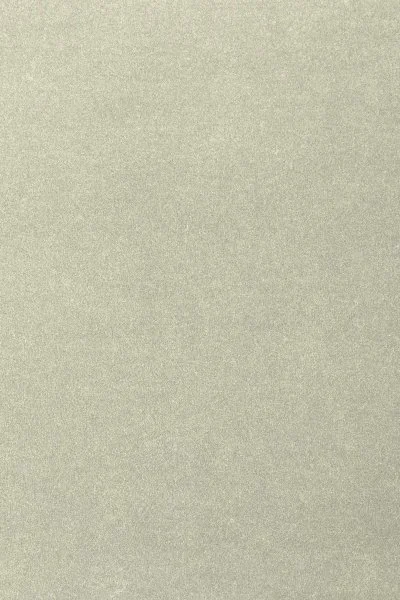 Ковровое покрытие AW Oinone 02 - (4м) в Самаре