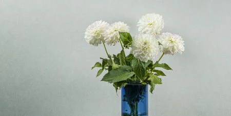 Обои Loymina Shade vol.2 SDR5, 001 в Самаре