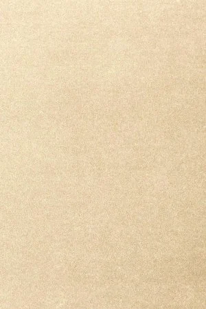 Ковровое покрытие AW Oinone 33 - (5м) в Самаре