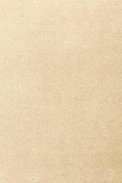 Ковровое покрытие AW Oinone 33 - (4м) в Самаре