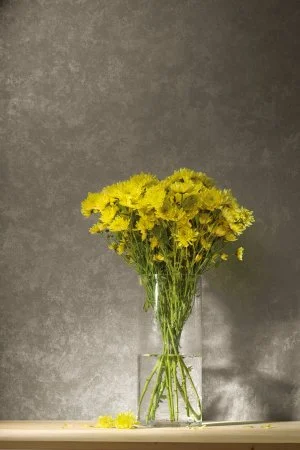 Обои Loymina Golden Library TDG 7, 008 в Самаре