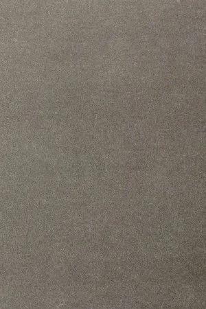 Ковровое покрытие AW Oinone 95 - (5м) в Самаре