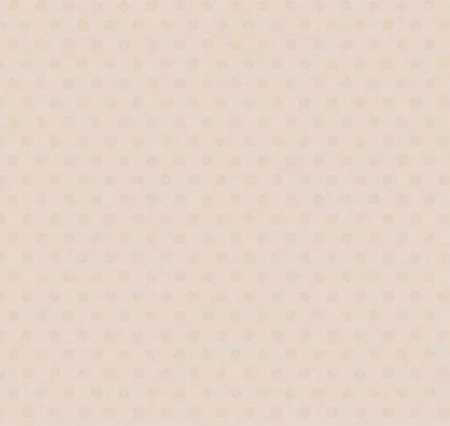 Обои Loymina Golden Library Q11, 002/1 в Самаре