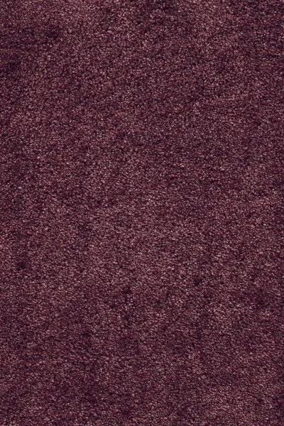 Ковровое покрытие AW Fedone 19 - (5м) в Самаре