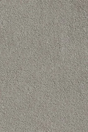 Ковровое покрытие AW Messalina 9 - (4м) в Самаре