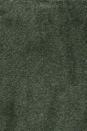 Ковровое покрытие AW Fedone 24 - (5м) в Самаре