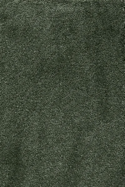 Ковровое покрытие AW Fedone 24 - (5м) в Самаре