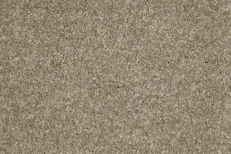 Ковровое покрытие AW Gala 33 - (5м) в Самаре