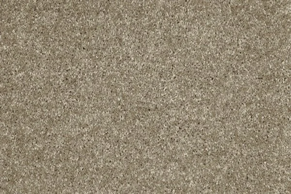 Ковровое покрытие AW Gala 33 - (4м) в Самаре