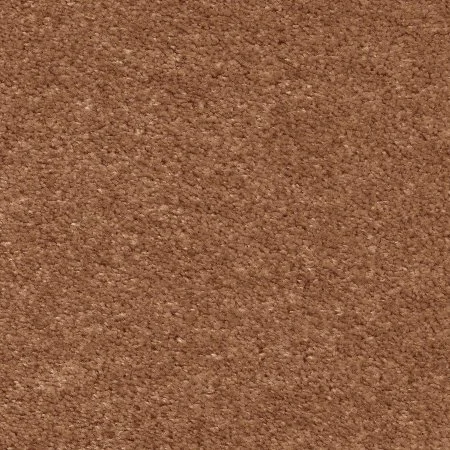 Ковровое покрытие AW Euphoria 84 - (5м) в Самаре