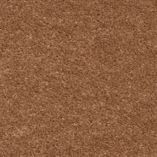 Ковровое покрытие AW Euphoria 84 - (5м) в Самаре