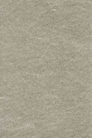 Ковровое покрытие AW Fedone 90 - (4м) в Самаре