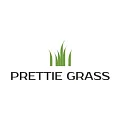Искусственная трава Prettie Grass купить в Самаре по выгодной цене Искусственная трава Prettie Grass в Самаре