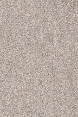 Ковровое покрытие AW Messalina 37 - (4м) в Самаре