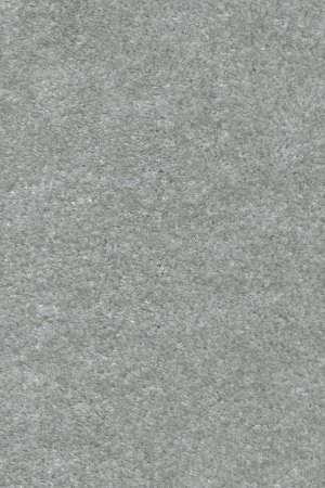 Ковровое покрытие AW Euphoria 75 - (5м) в Самаре