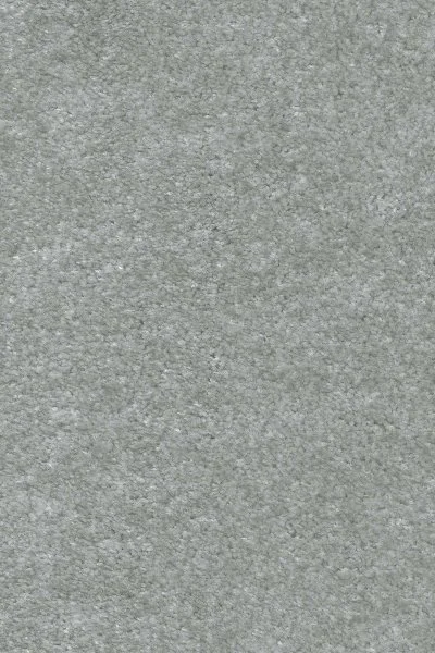 Ковровое покрытие AW Euphoria 75 - (5м) в Самаре