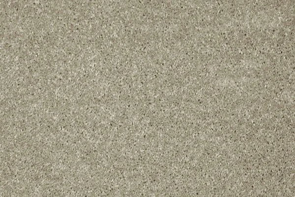 Ковровое покрытие AW Gala 03 - (4м) в Самаре