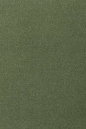 Ковровое покрытие AW Oinone 24 - (5м) в Самаре