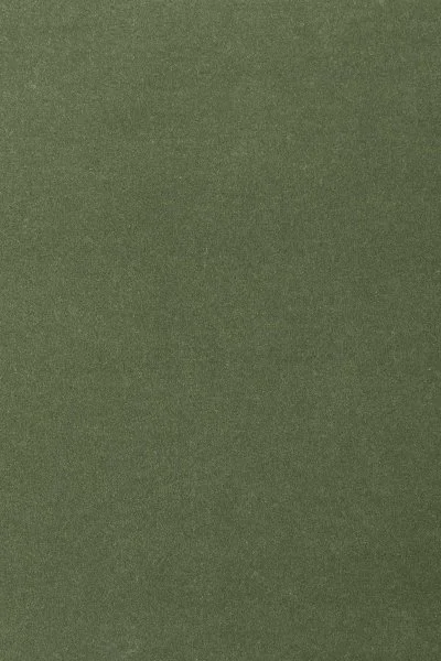 Ковровое покрытие AW Oinone 24 - (4м) в Самаре